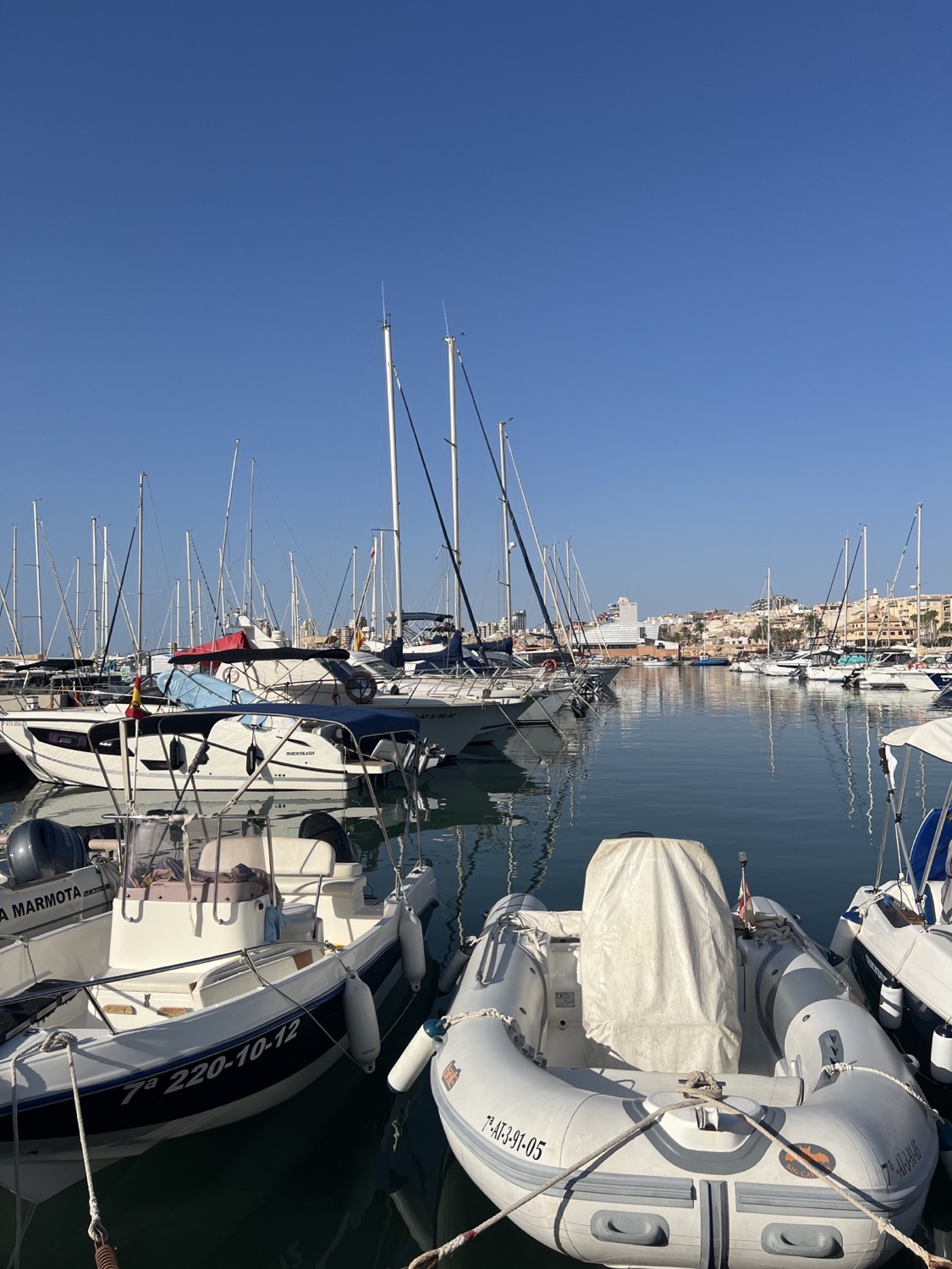 Mañana en el puerto — Playa Campello