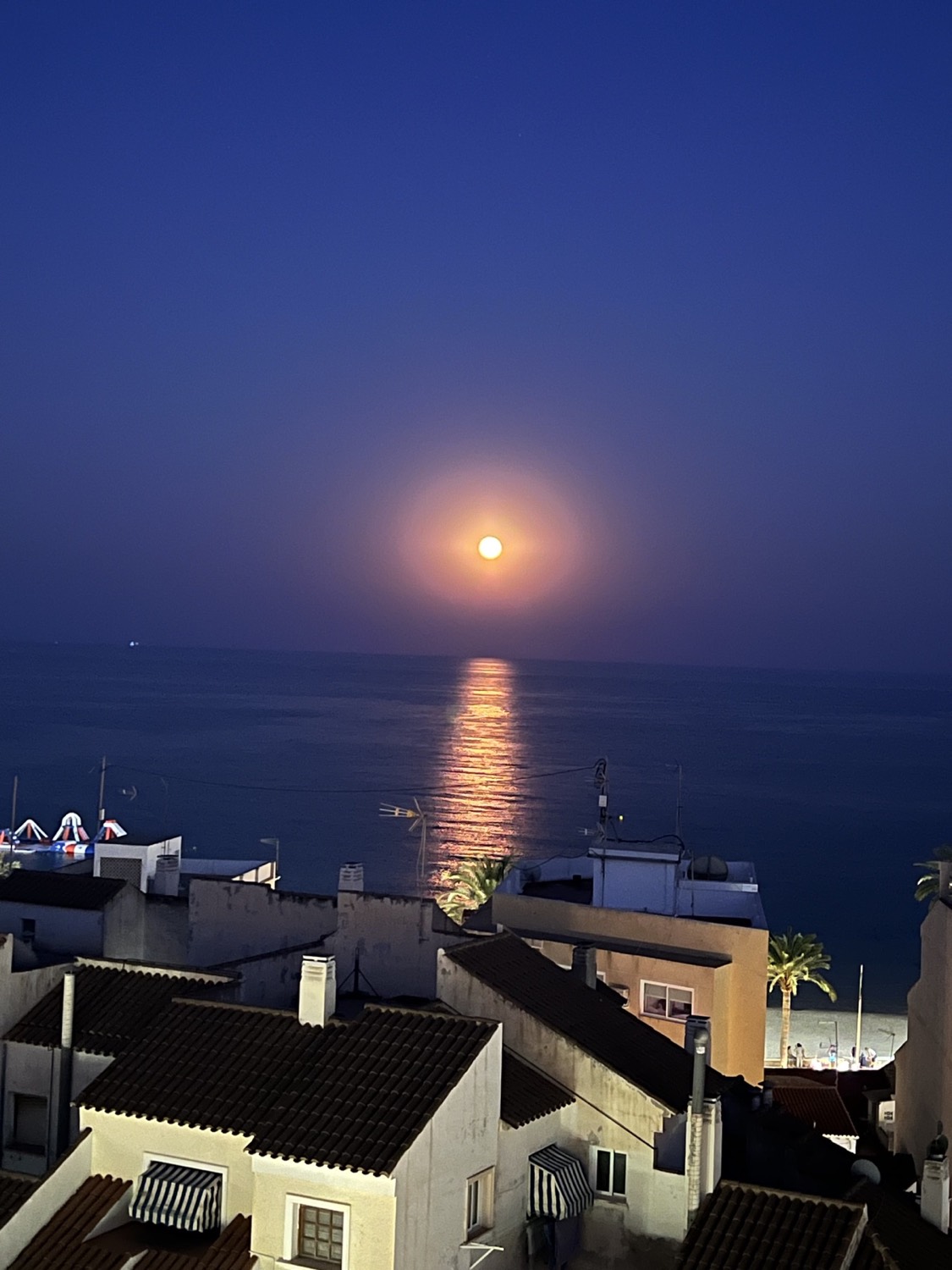Camino de luna — Playa Campello