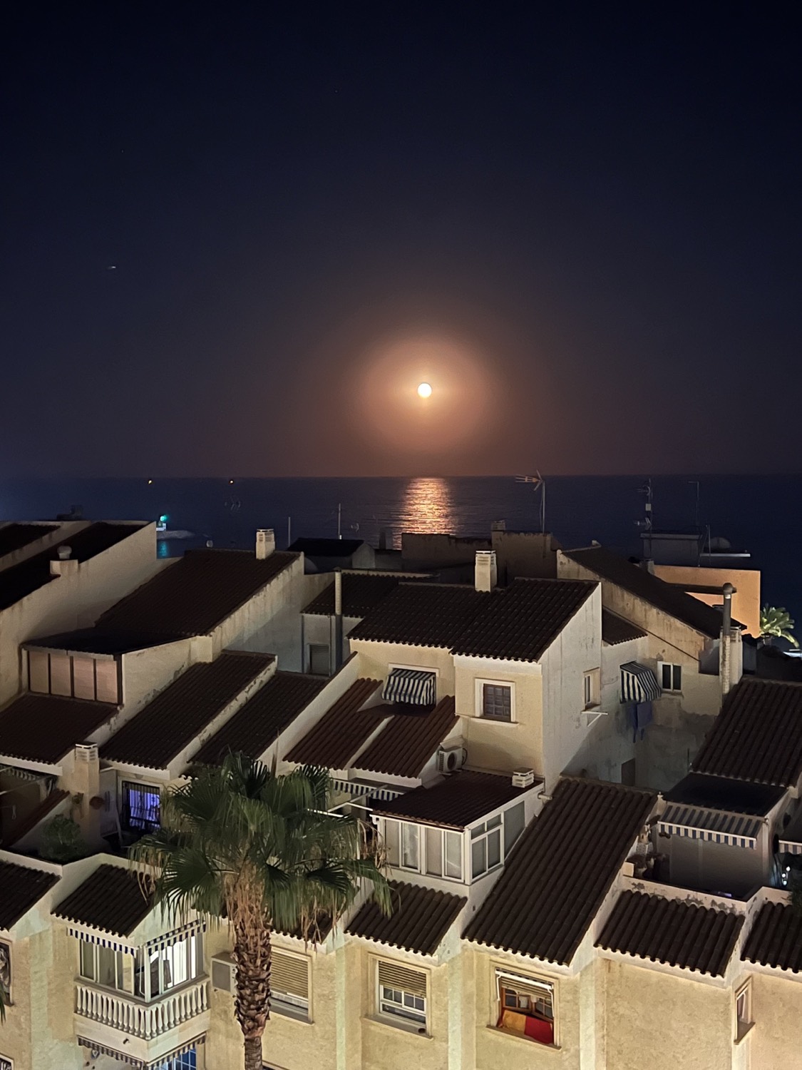 Noche sobre los tejados — Playa Campello