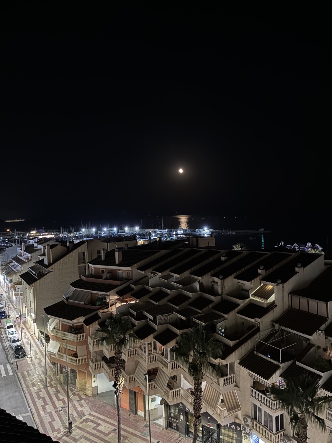 El puerto no duerme — Playa Campello